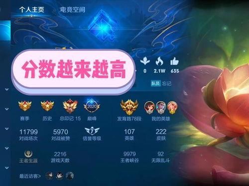 巅峰赛最新皮肤爆料视频,揭秘神秘爆料，视觉盛宴即将开启！